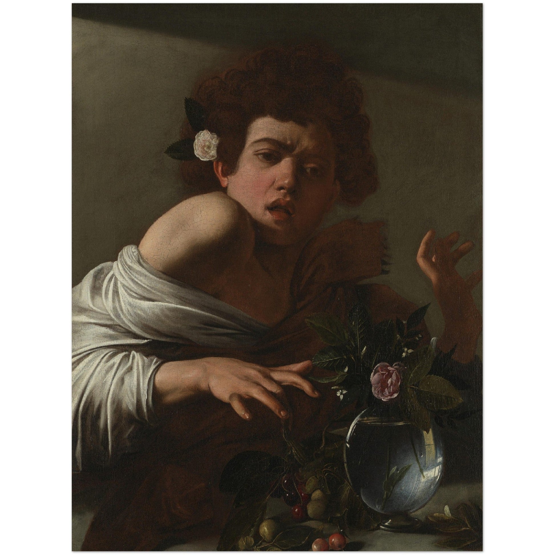 Boy Bitten by a Lizard - Caravaggio - Print Material - Master's Gaze