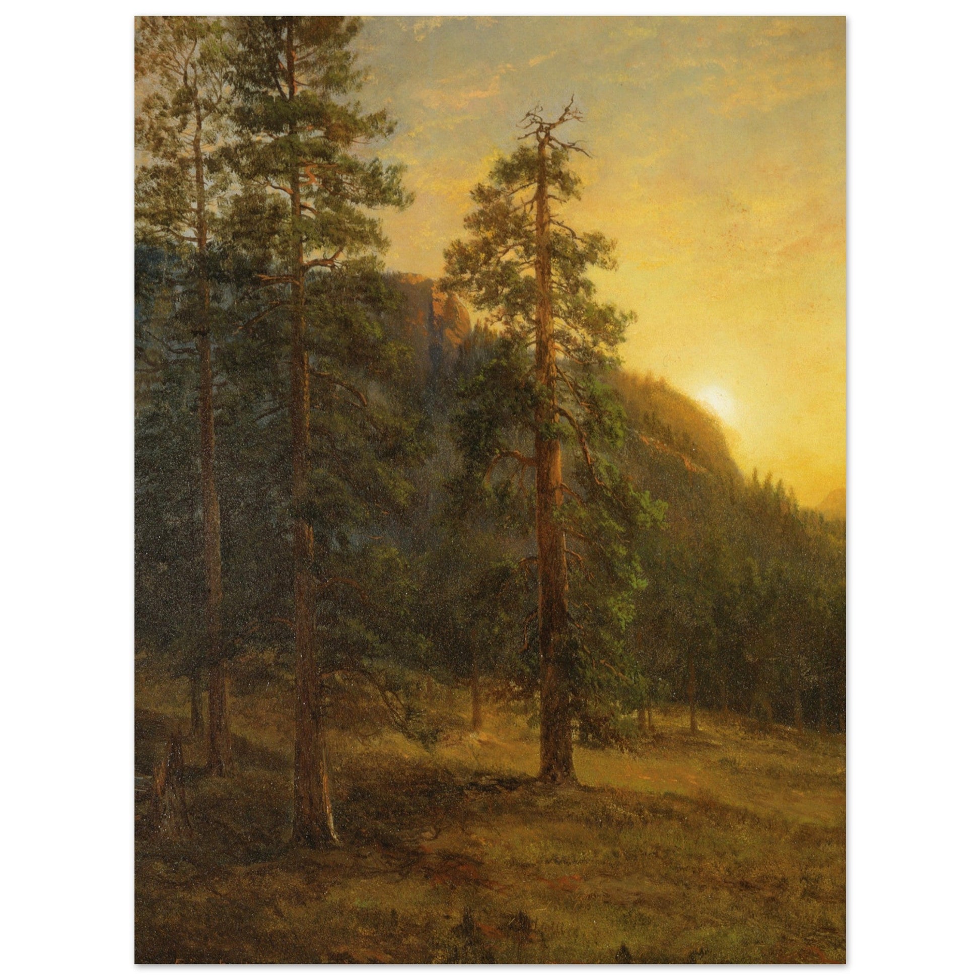 California Redwoods (1872) by Albert Bierstadt - Print Material - Master's Gaze