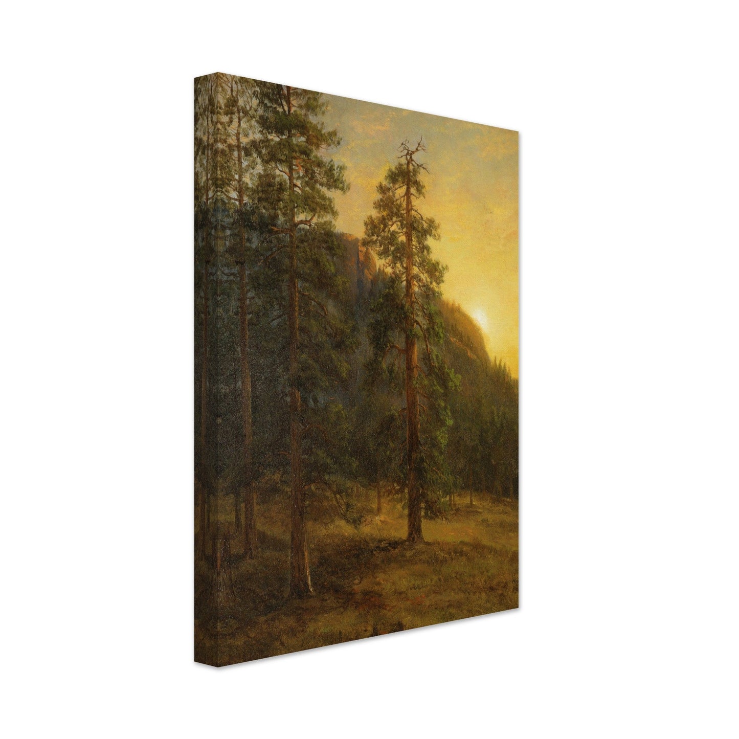 California Redwoods (1872) by Albert Bierstadt - Print Material - Master's Gaze