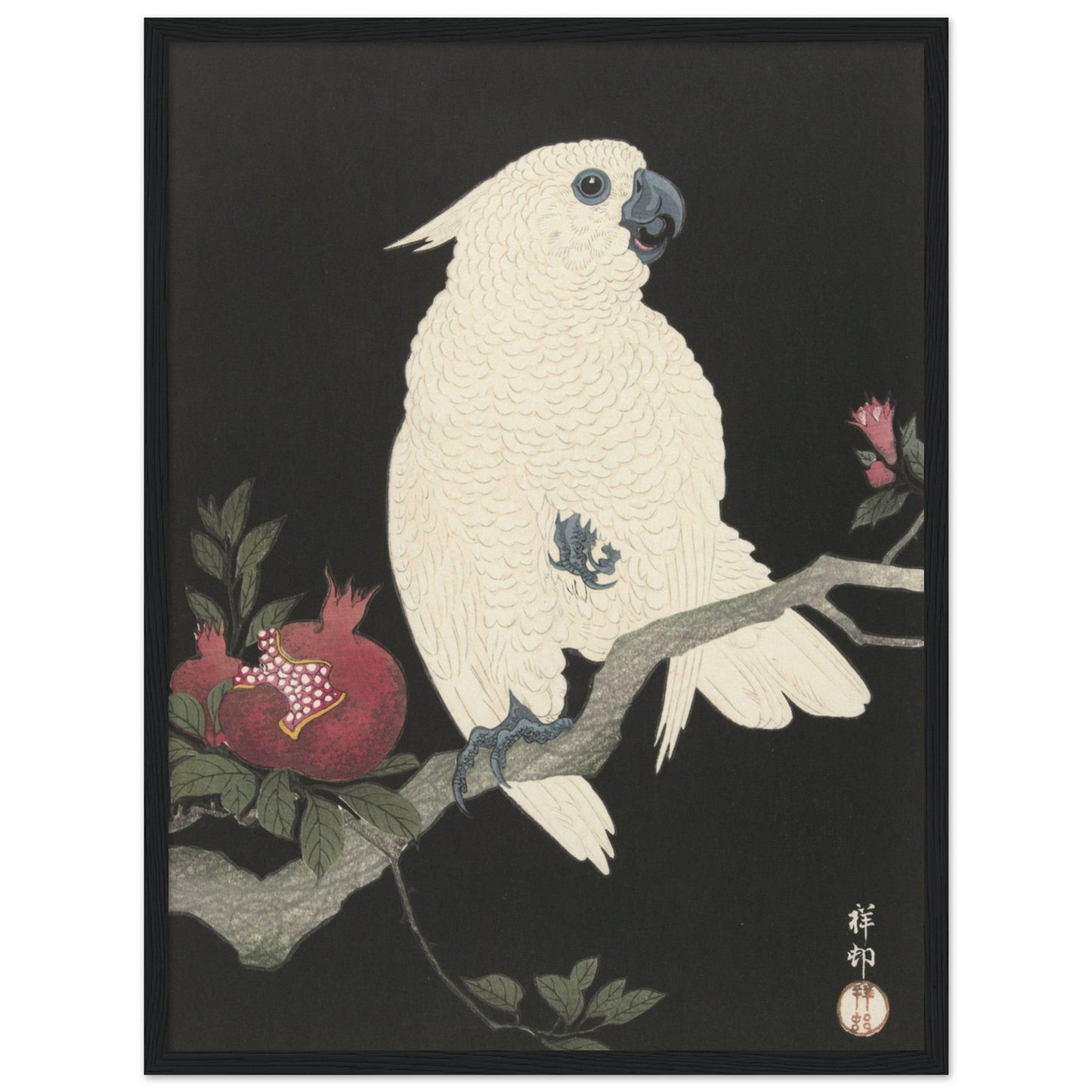 Cockatoo and pomegranate (1925 - 1936) by Ohara Koson - Print Material - Master's Gaze