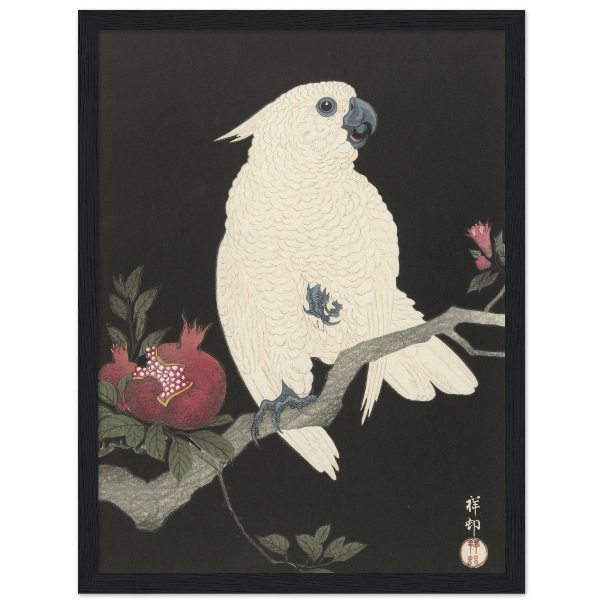 Cockatoo and pomegranate (1925 - 1936) by Ohara Koson - Print Material - Master's Gaze