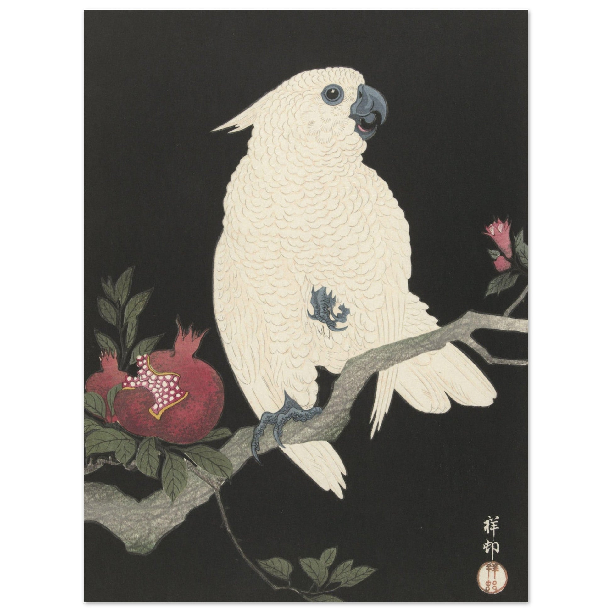 Cockatoo and pomegranate (1925 - 1936) by Ohara Koson - Print Material - Master's Gaze