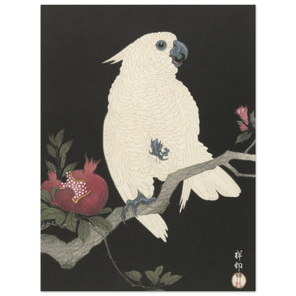 Cockatoo and pomegranate (1925 - 1936) by Ohara Koson - Print Material - Master's Gaze