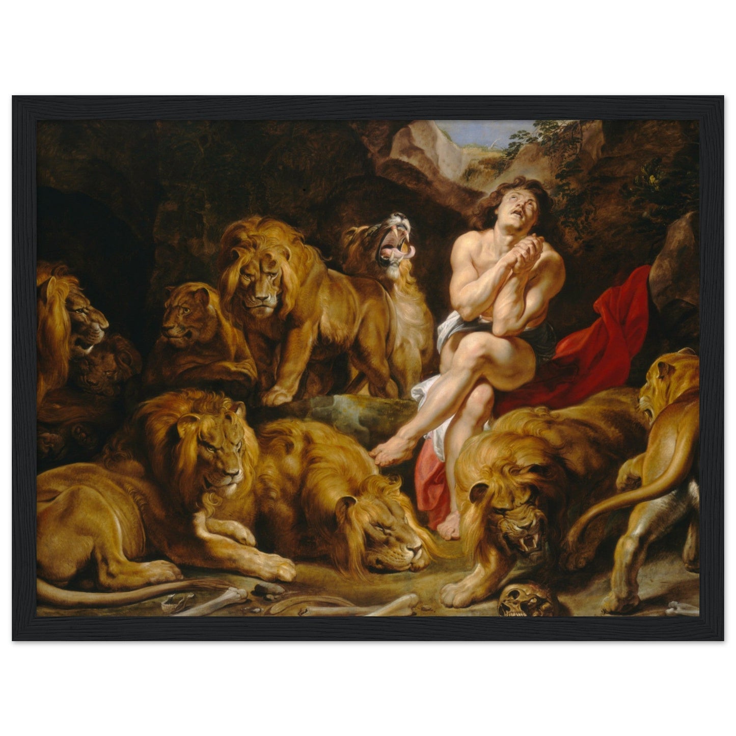 Daniel in the Lions’ Den (c. 1614-1616) by Pieter Paul Rubens - Print Material - Master's Gaze