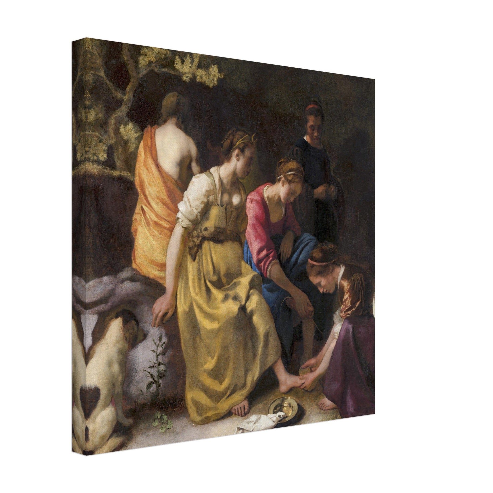 Diana and Her Nymphs (C. 1653 - 1654) by Johannes Vermeer - Print Material - Master's Gaze