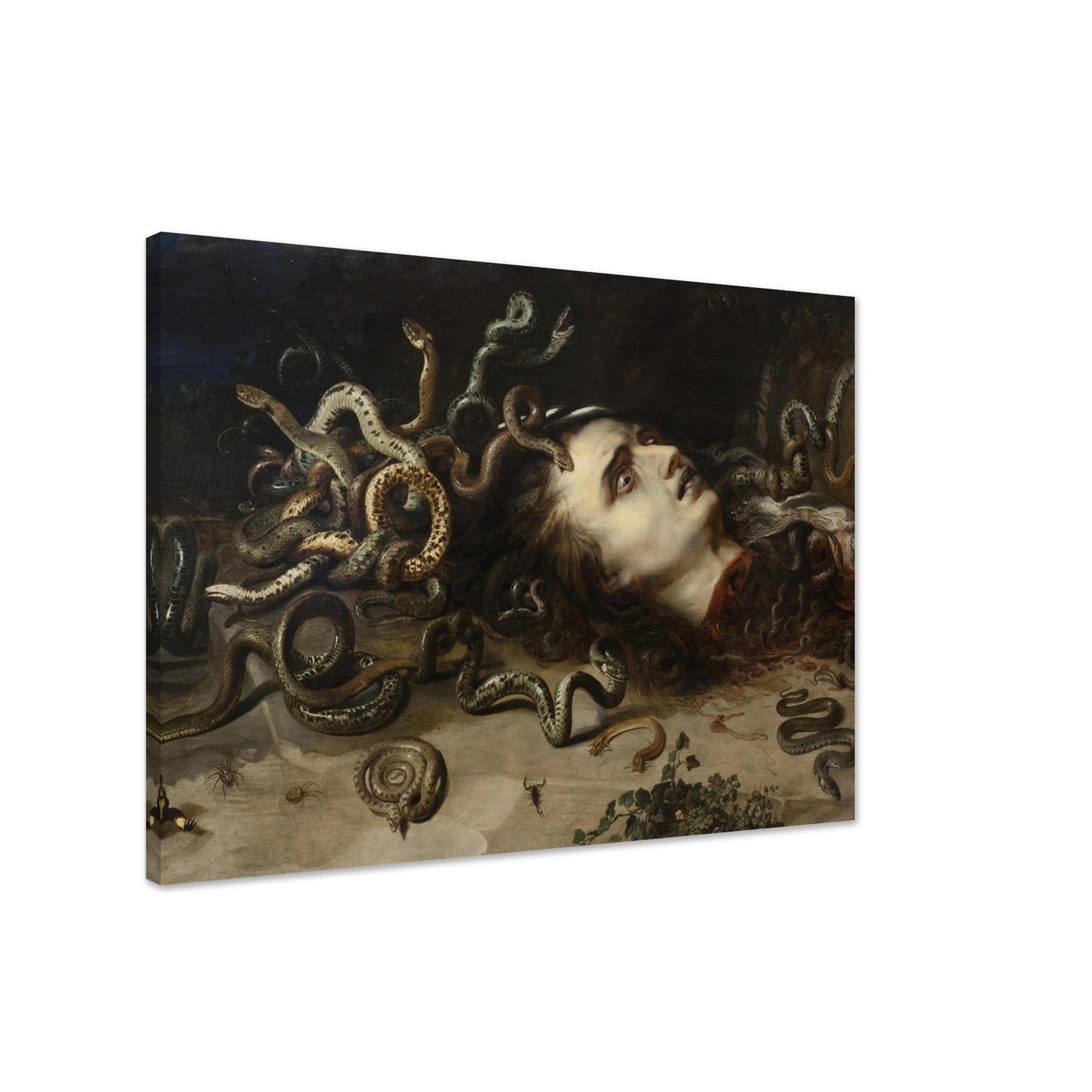 Head of Medusa (1617-1618) by Pieter Paul Rubens - Print Material - Master's Gaze