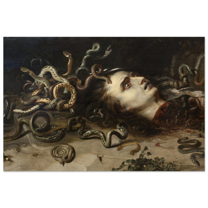 Head of Medusa (1617-1618) by Pieter Paul Rubens - Print Material - Master's Gaze