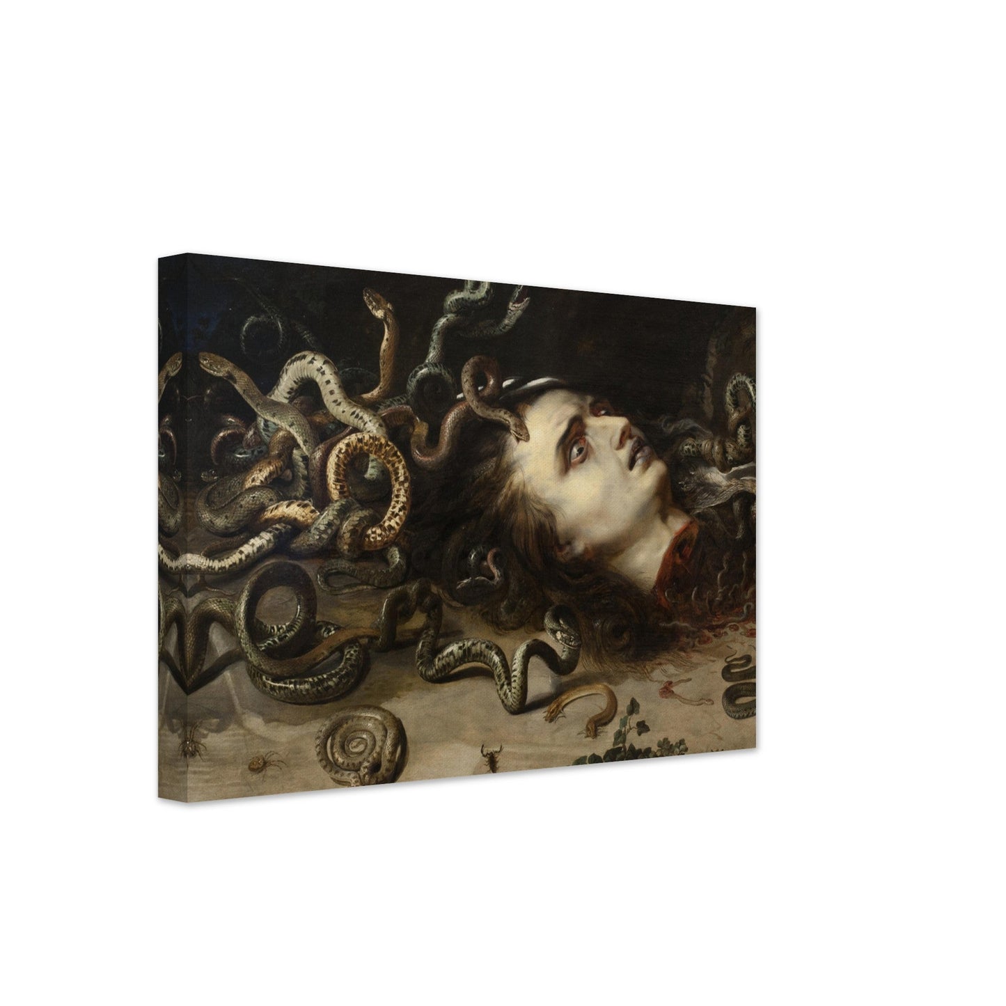 Head of Medusa (1617-1618) by Pieter Paul Rubens - Print Material - Master's Gaze