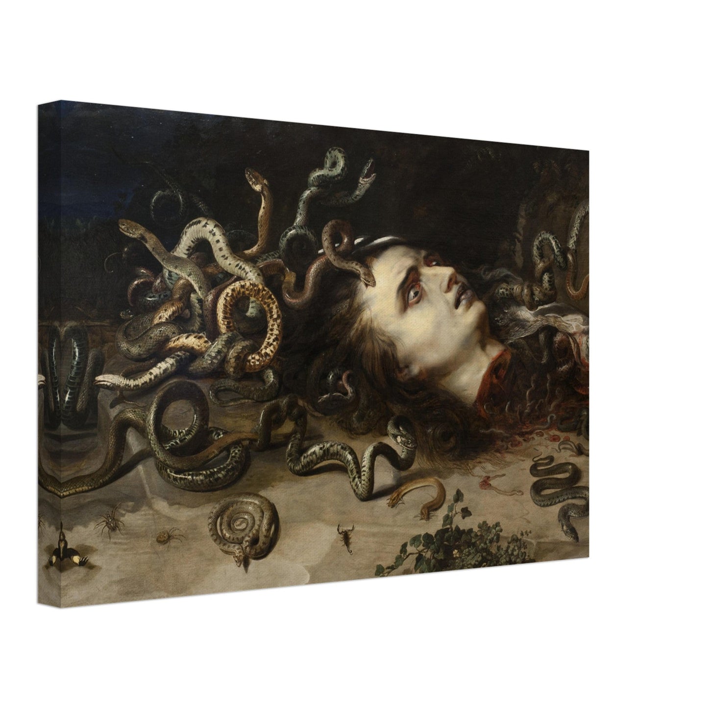 Head of Medusa (1617-1618) by Pieter Paul Rubens - Print Material - Master's Gaze