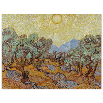 Olive Trees (1889) by Van Gogh - Print Material - Master's Gaze