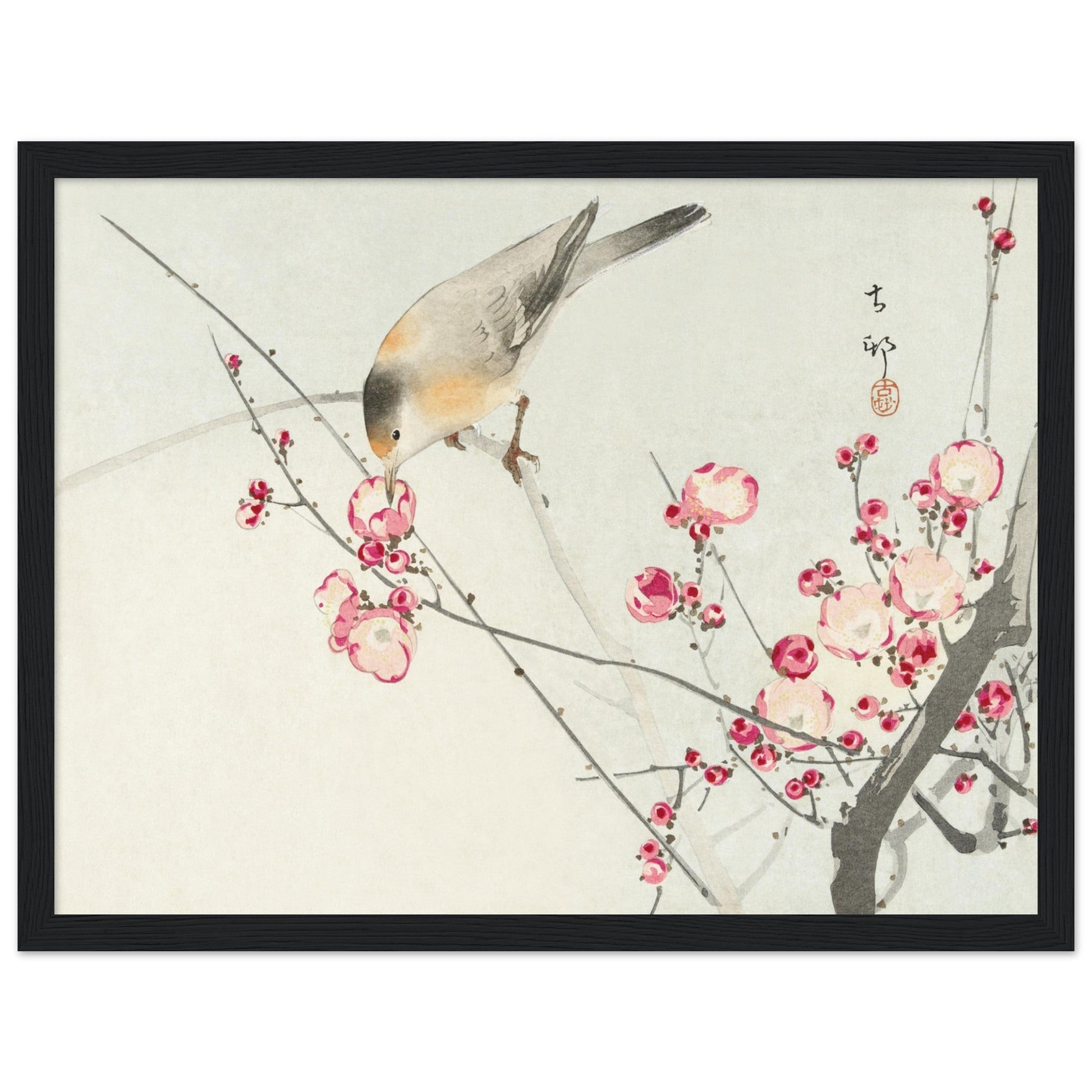 Songbird on blossom branch (1900 - 1936) by Ohara Koson - Print Material - Master's Gaze