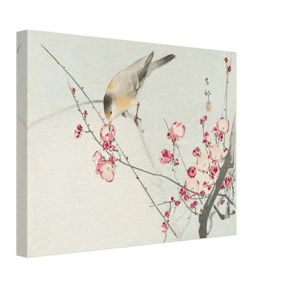 Songbird on blossom branch (1900 - 1936) by Ohara Koson - Print Material - Master's Gaze