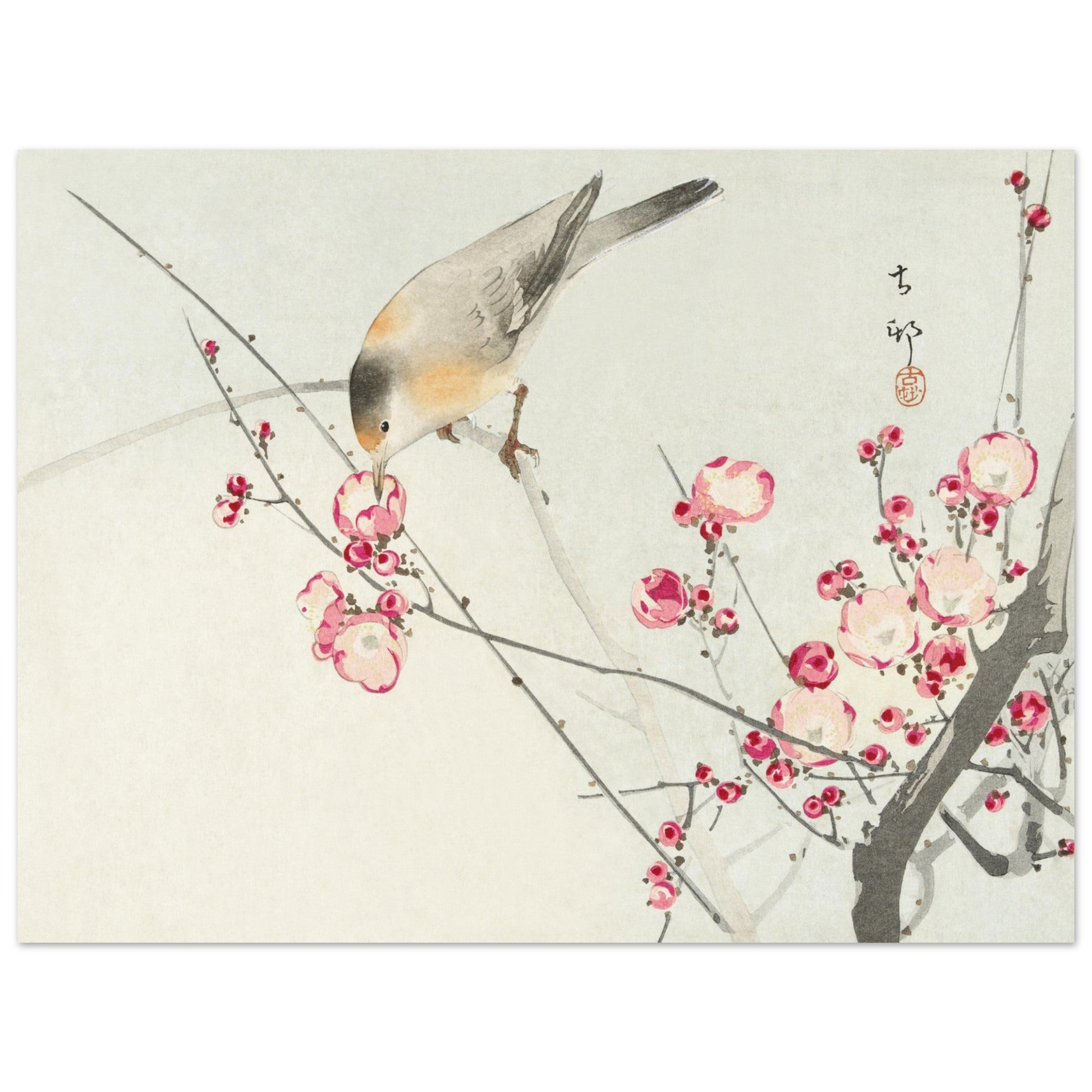 Songbird on blossom branch (1900 - 1936) by Ohara Koson - Print Material - Master's Gaze