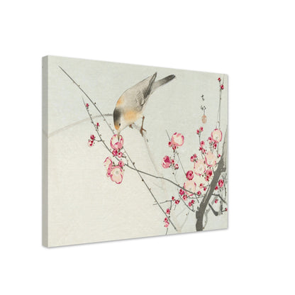 Songbird on blossom branch (1900 - 1936) by Ohara Koson - Print Material - Master's Gaze