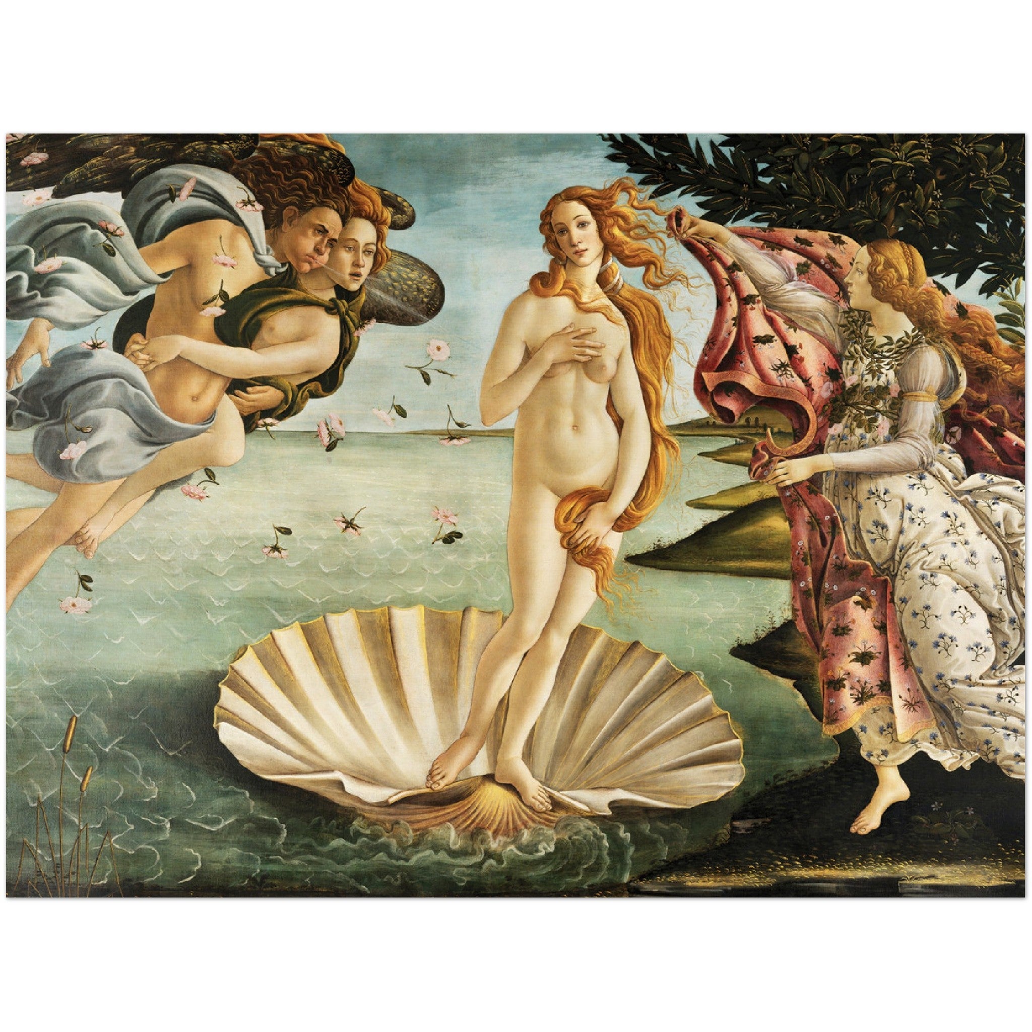 The Birth of Venus - Sandro Botticelli | Master's Gaze