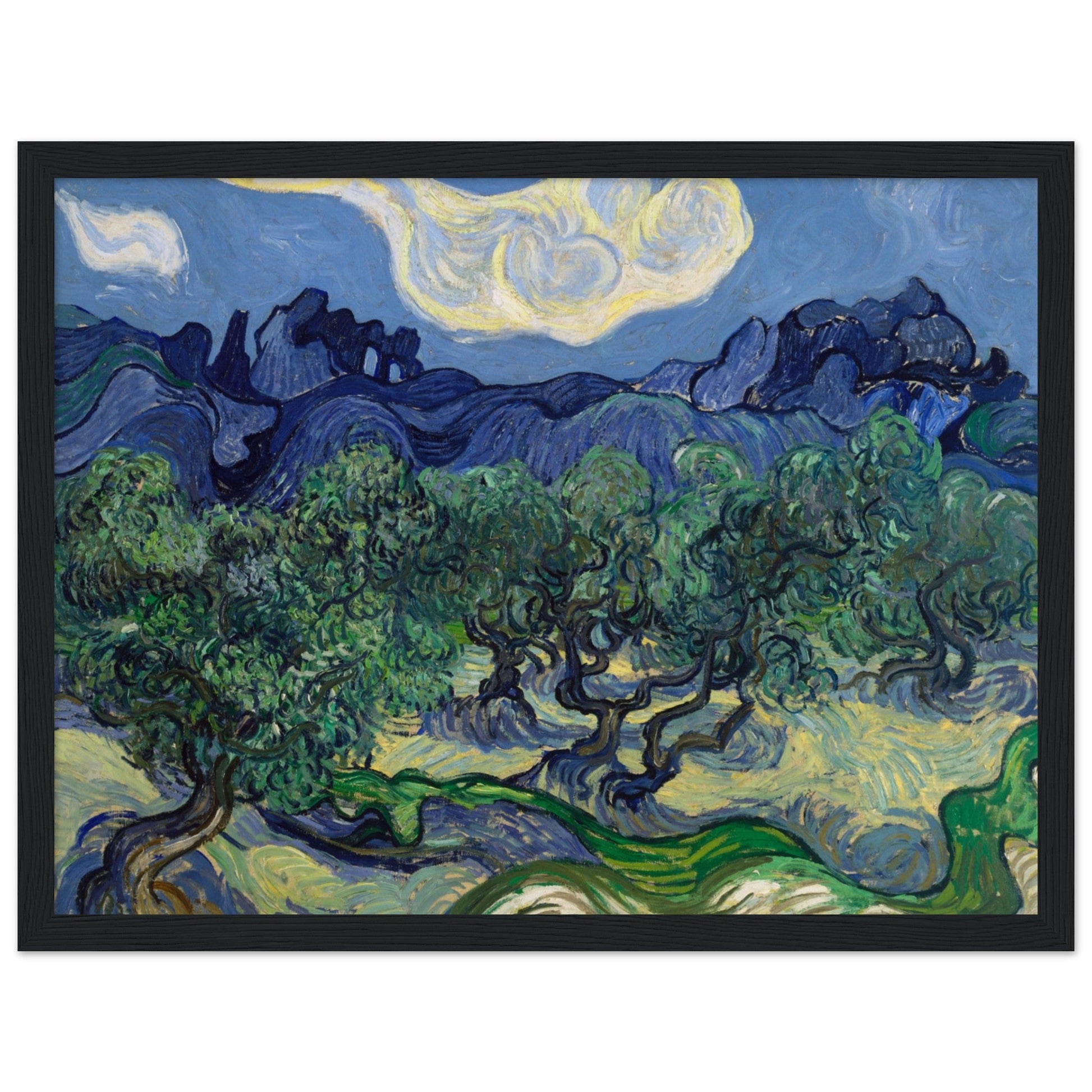 The Olive Trees (1889) by Van Gogh - Print Material - Master's Gaze