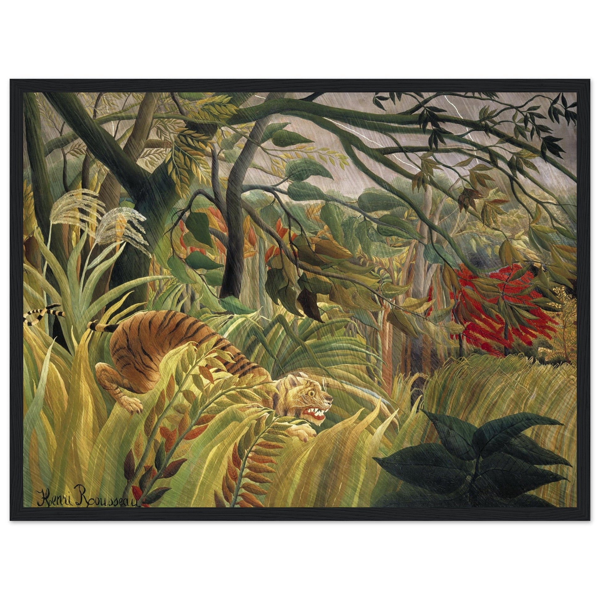 Tiger in a Tropical Storm (1891) by Henri Rousseau - Print Material - Master's Gaze