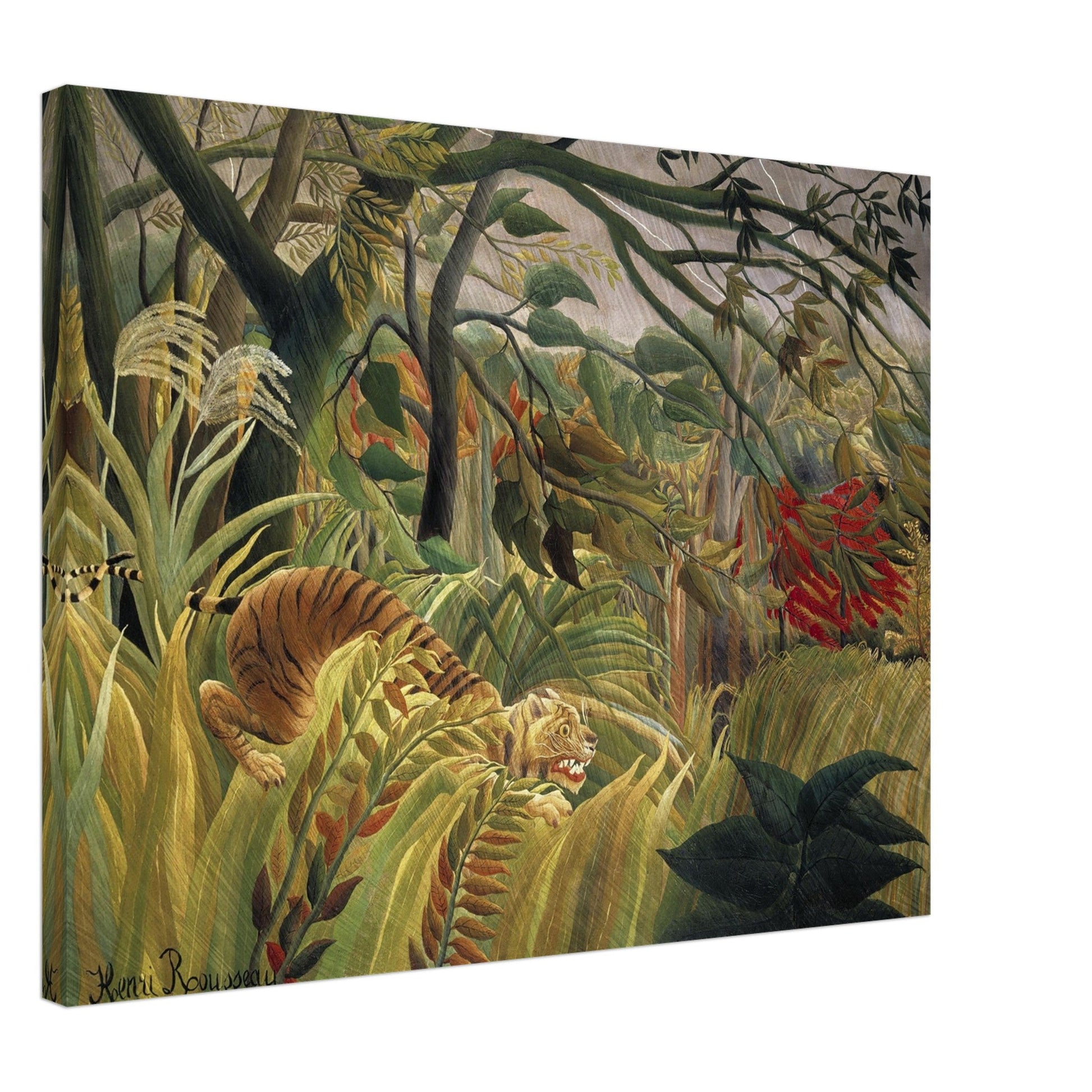 Tiger in a Tropical Storm (1891) by Henri Rousseau - Print Material - Master's Gaze