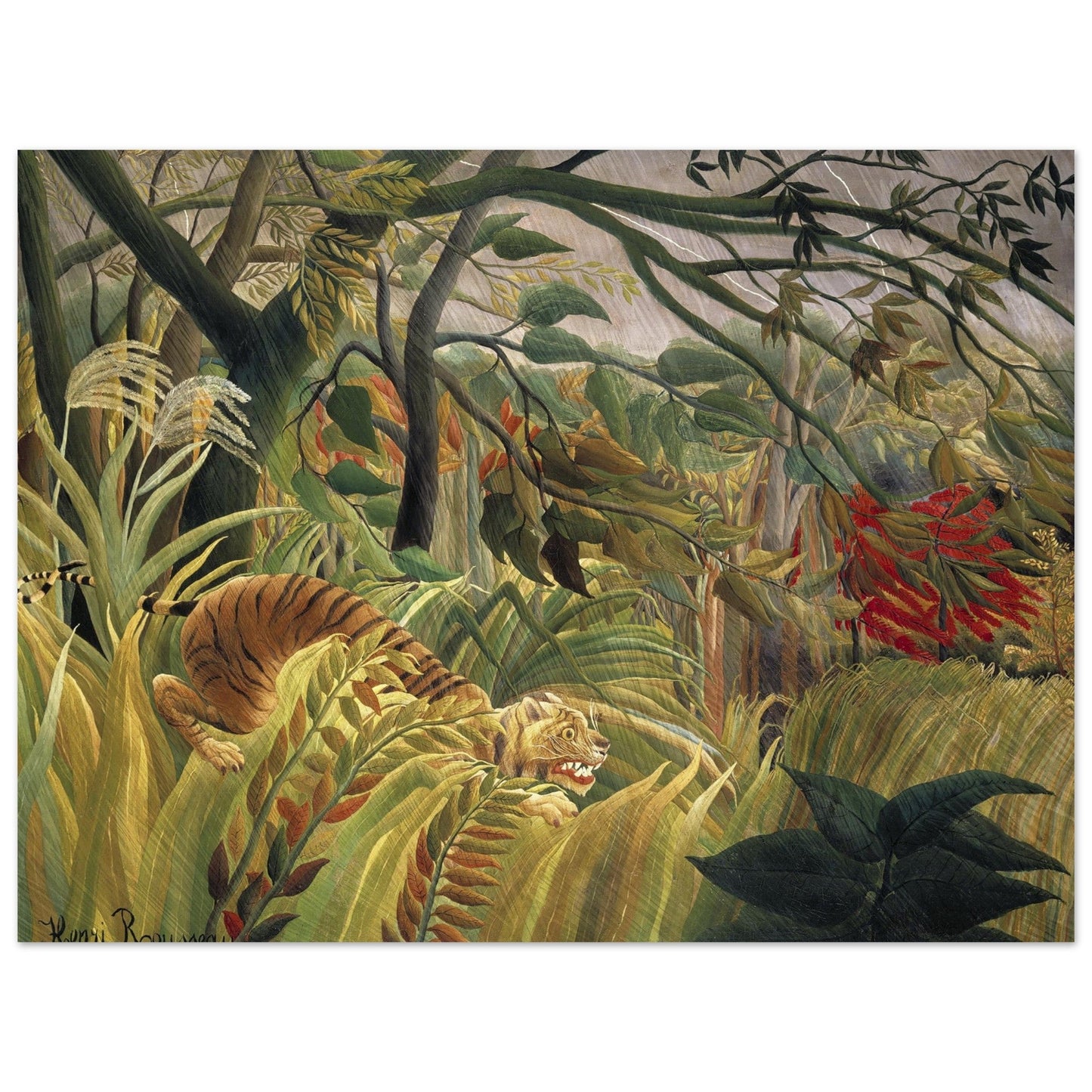 Tiger in a Tropical Storm (1891) by Henri Rousseau - Print Material - Master's Gaze