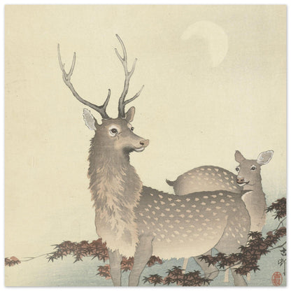 Two Deer (1900 - 1930) by Ohara Koson - Print Material - Master's Gaze