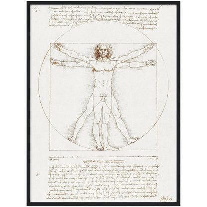 Vitruvian Man - Leonardo da Vinci - Print Material - Master's Gaze