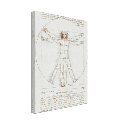 Vitruvian Man - Leonardo da Vinci - Print Material - Master's Gaze