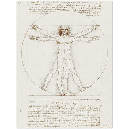 Vitruvian Man - Leonardo da Vinci - Print Material - Master's Gaze