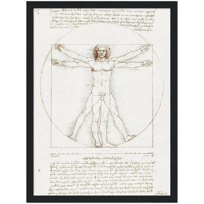 Vitruvian Man - Leonardo da Vinci - Print Material - Master's Gaze