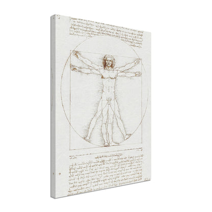 Vitruvian Man - Leonardo da Vinci - Print Material - Master's Gaze