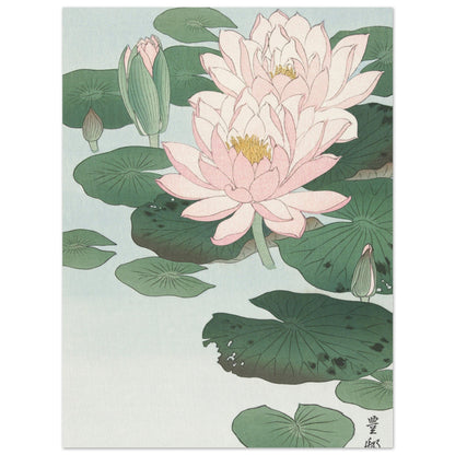 Water Lily (1920 - 1930) by Ohara Koson - Print Material - Master's Gaze