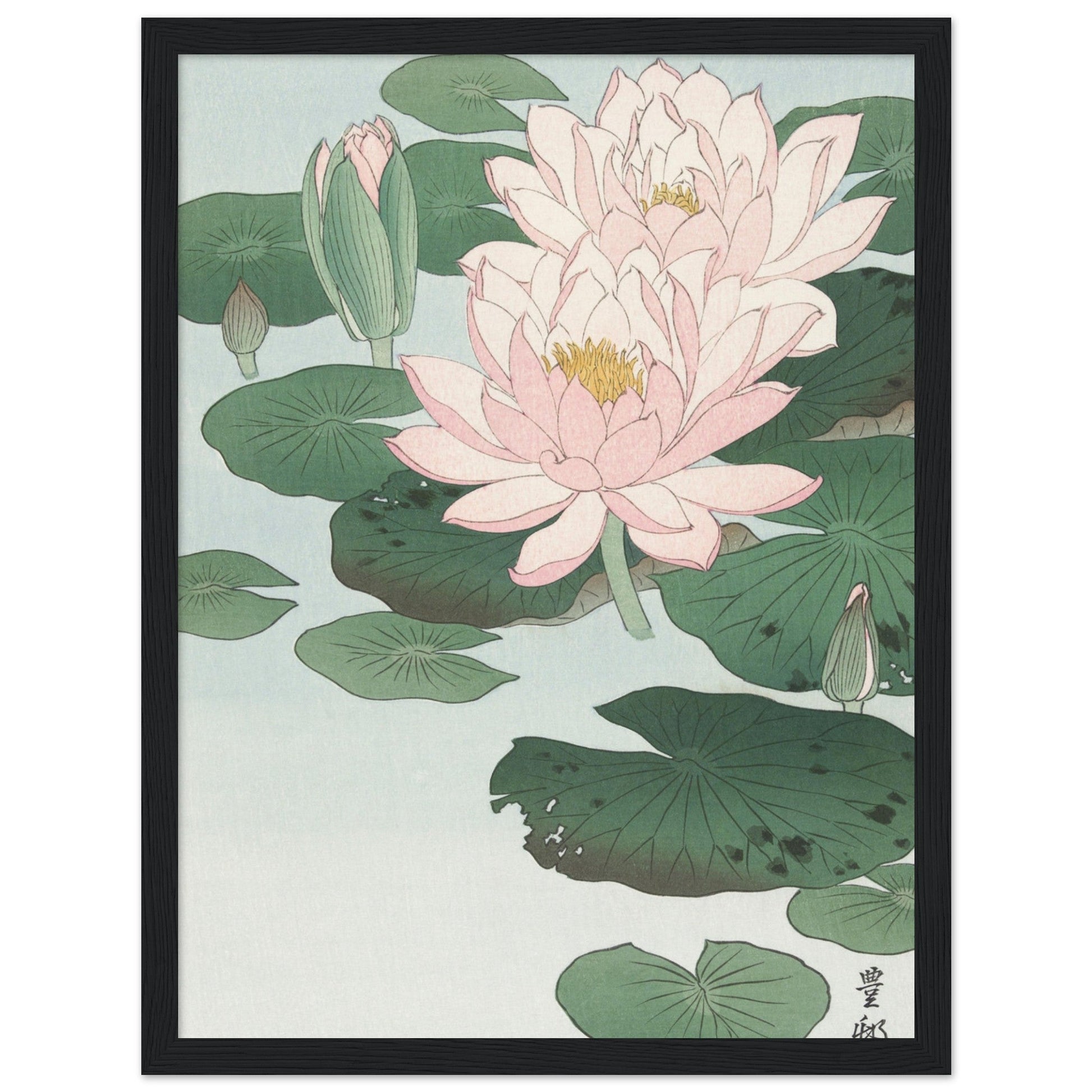 Water Lily (1920 - 1930) by Ohara Koson - Print Material - Master's Gaze