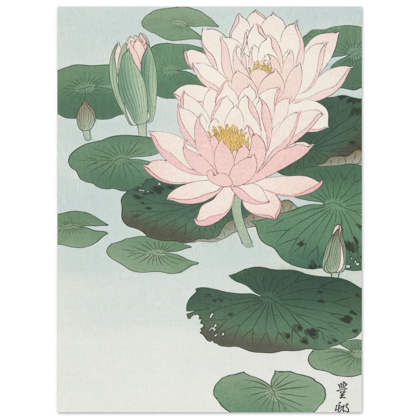 Water Lily (1920 - 1930) by Ohara Koson - Print Material - Master's Gaze