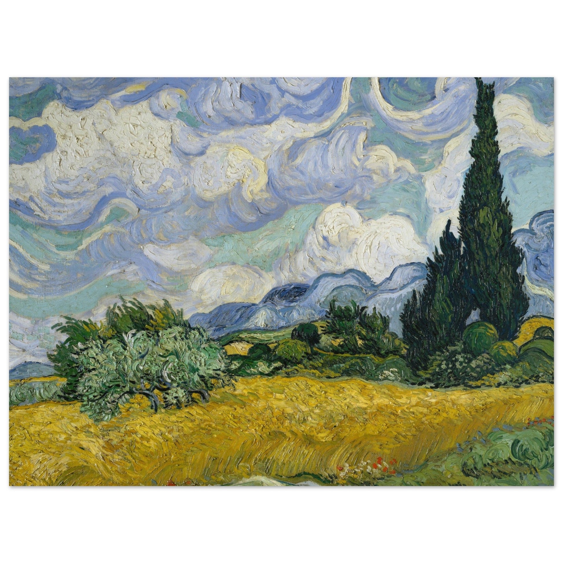 Wheat Field with Cypresses (1889) by Van Gogh - Print Material - Master's Gaze